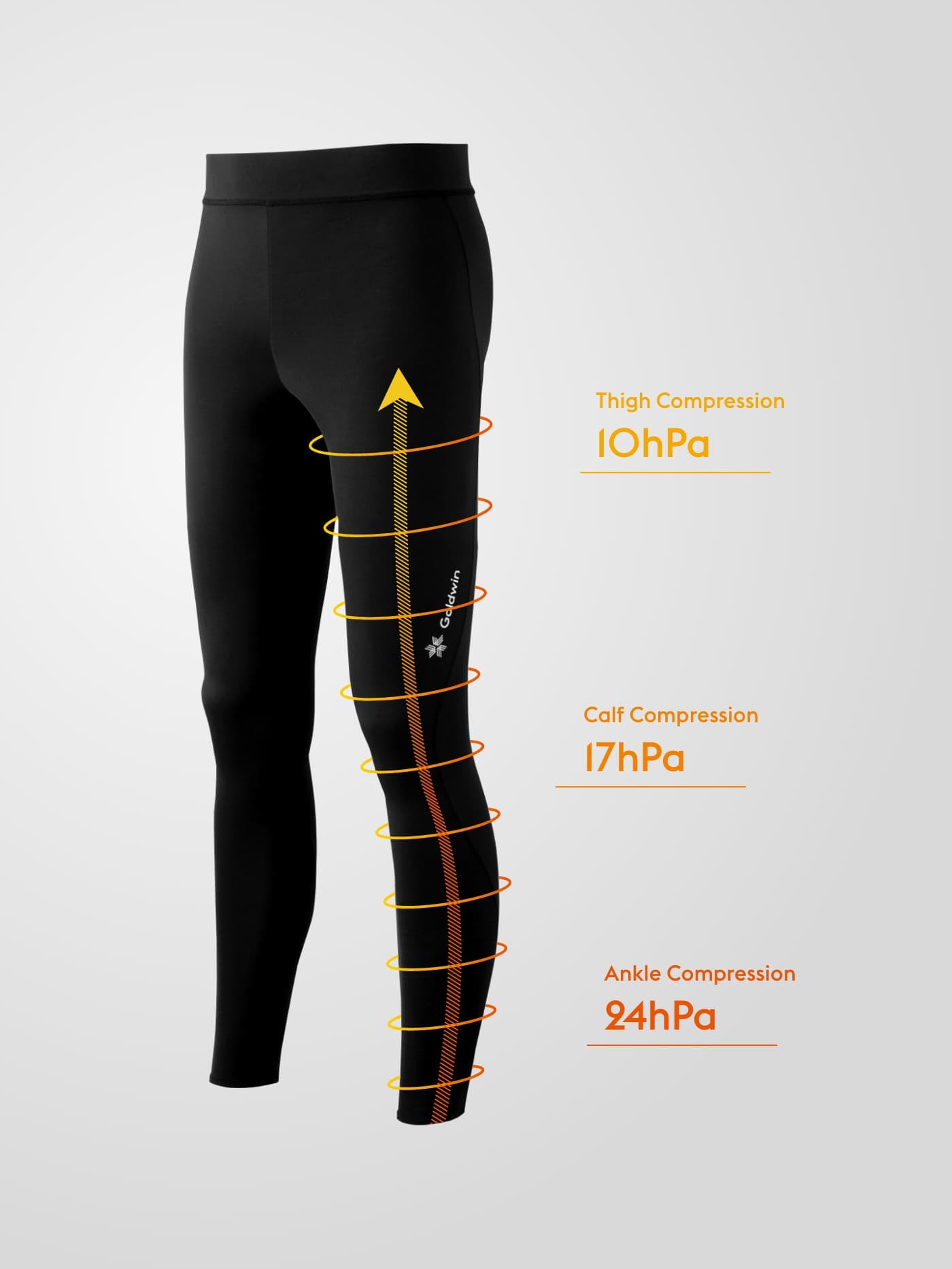 Compression Support Tights｜C3fit - Europe Goldwin Website Official 
